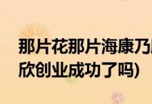 那片花那片海康乃欣結(jié)局(那片花那片?？的诵绖?chuàng)業(yè)成功了嗎)