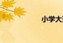 小學大班化的危害