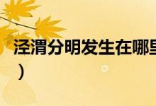 涇渭分明發(fā)生在哪里?。芪挤置靼l(fā)生在哪里）