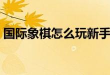 國(guó)際象棋怎么玩新手入門（國(guó)際象棋怎么玩）