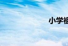 小學祖國手抄報