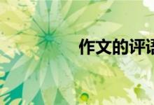 作文的評(píng)語(yǔ)應(yīng)該怎樣寫(xiě)？