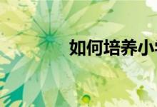 如何培養(yǎng)小學(xué)生的語(yǔ)文素養(yǎng)