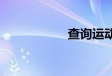 查詢(xún)運(yùn)動(dòng)會(huì)作文素材