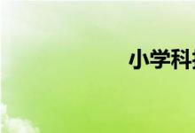 小學科技作品制作