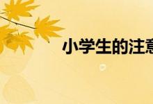 小學生的注意力有哪些特點？