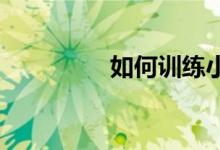 如何訓練小學生的記憶力