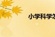 小學(xué)科學(xué)怎么提高成績？