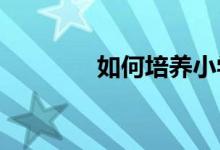 如何培養(yǎng)小學生的安全意識