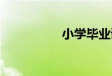 小學畢業(yè)證丟了怎么辦