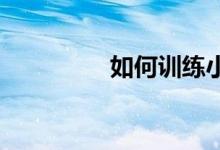 如何訓練小學生的記憶力