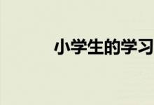 小學生的學習習慣有哪些特點？