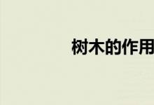 樹(shù)木的作用（樹(shù)木的作用）