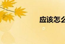 應該怎么樣寫好作文