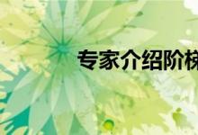 專家介紹階梯式作文訓練方法