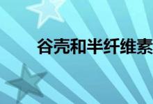 谷殼和半纖維素的主要成分是什么？