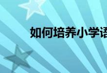 如何培養(yǎng)小學(xué)語文學(xué)科的核心素養(yǎng)