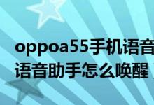 oppoa55手機(jī)語音助手怎么喚醒(oppoa55語音助手怎么喚醒)