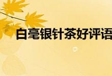 白毫銀針茶好評(píng)語(yǔ)（白豪銀尖是什么茶）