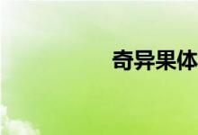 奇異果體育怎么使用？