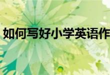 如何寫(xiě)好小學(xué)英語(yǔ)作文第四課：animal？(2)