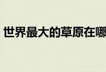 世界最大的草原在哪里?。ㄊ澜缱畲蟮牟菰?class=