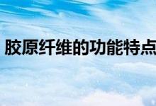 膠原纖維的功能特點（膠原纖維的功能特點）