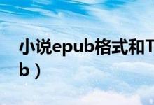 小說(shuō)epub格式和TXT有什么不同（小說(shuō)epub）