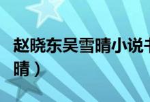 趙曉東吳雪晴小說書名（官場(chǎng)小說趙曉東吳雪晴）
