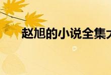 趙旭的小說(shuō)全集大結(jié)局（趙旭的小說(shuō)）