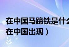 在中國馬蹄鐵是什么時(shí)候使用的（馬蹄鐵何時(shí)在中國出現(xiàn)）