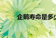 企鵝壽命是多少?。ㄆ簌Z的壽命）