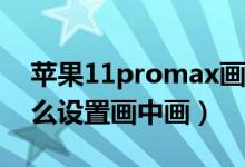 蘋(píng)果11promax畫(huà)中畫(huà)怎么設(shè)置（蘋(píng)果11怎么設(shè)置畫(huà)中畫(huà)）