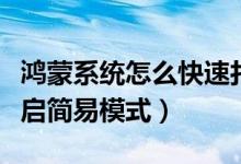 鴻蒙系統(tǒng)怎么快速打開(kāi)設(shè)置（鴻蒙系統(tǒng)怎么開(kāi)啟簡(jiǎn)易模式）