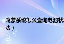 鴻蒙系統(tǒng)怎么查詢(xún)電池狀況（鴻蒙系統(tǒng)怎么查詢(xún)使用時(shí)間方法）