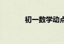 初一數(shù)學(xué)動(dòng)點(diǎn)問題有什么技巧