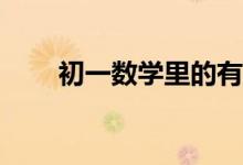 初一數(shù)學(xué)里的有理數(shù)知識(shí)點(diǎn)有什么？