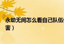 永劫無間怎么看自己隊(duì)伍傷害（永劫無間怎么看自己隊(duì)伍傷害）