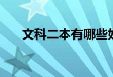 文科二本有哪些好學校（哪個學校好）