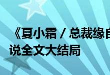 《夏小霜／總裁緣自有天意顧雪晴龍哲瀚》小說(shuō)全文大結(jié)局