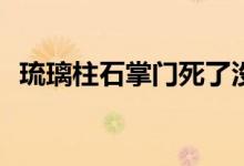 琉璃柱石掌門死了沒(méi)(琉璃柱石掌門死了嗎)