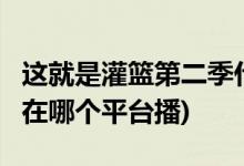 這就是灌籃第二季什么時(shí)候播出(這就是灌籃2在哪個(gè)平臺播)