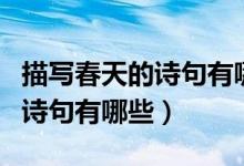 描寫(xiě)春天的詩(shī)句有哪些請(qǐng)寫(xiě)出來(lái)（描寫(xiě)春天的詩(shī)句有哪些）