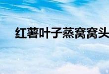 紅薯葉子蒸窩窩頭（蒸窩頭要多長(zhǎng)時(shí)間）
