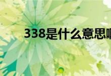 338是什么意思?。?38是什么意思）