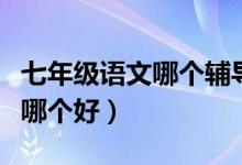 七年級(jí)語(yǔ)文哪個(gè)輔導(dǎo)書好（七年級(jí)語(yǔ)文輔導(dǎo)書哪個(gè)好）
