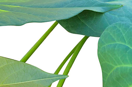 萬(wàn)圣節(jié)立體毛線彩蛋掛飾制作方法4