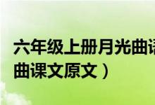 六年級(jí)上冊(cè)月光曲語文課文講解（人教版月光曲課文原文）