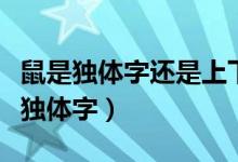 鼠是獨(dú)體字還是上下結(jié)構(gòu)（鼠是上下結(jié)構(gòu)還是獨(dú)體字）