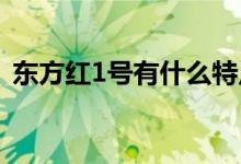 東方紅1號(hào)有什么特點(diǎn)(東方紅一號(hào)的特點(diǎn))